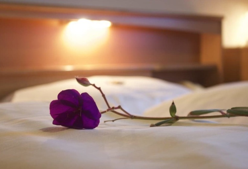 Отель Hoeker Hof