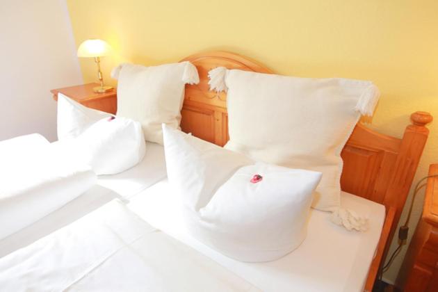 فندق In Der Mühle