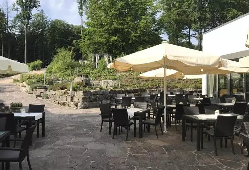 Отель Raitelberg Resort