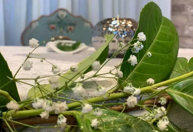 Apart Hotel Rheinischer Hof Dormagen