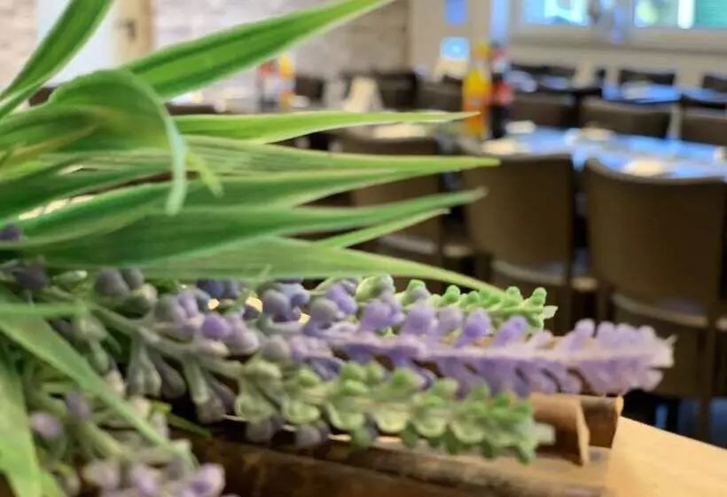 Apart Hotel Rheinischer Hof Dormagen