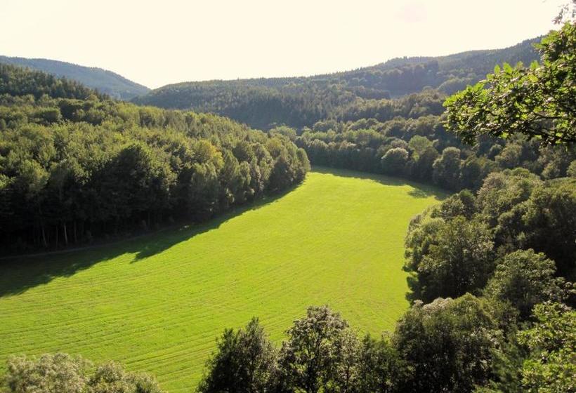 酒店 Weißer Hirsch