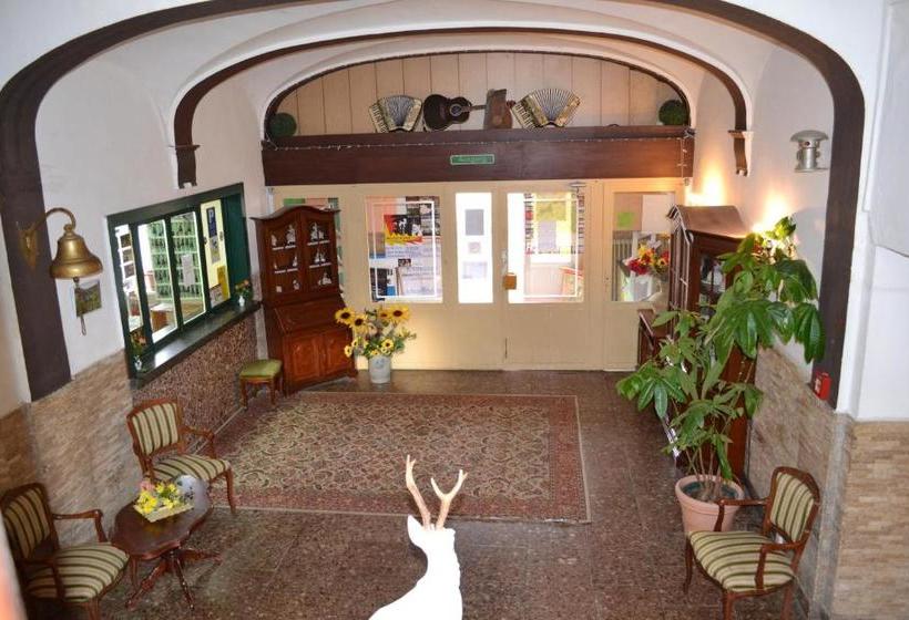 酒店 Weißer Hirsch