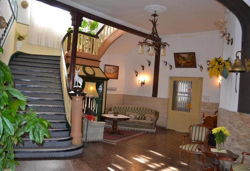 酒店 Weißer Hirsch