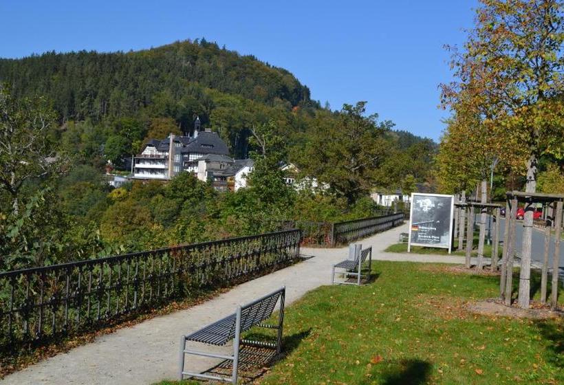 酒店 Weißer Hirsch