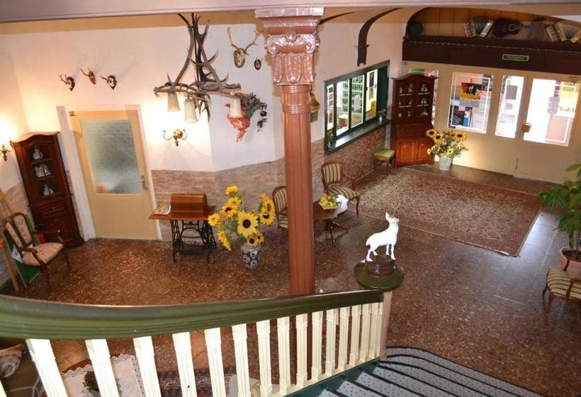 酒店 Weißer Hirsch