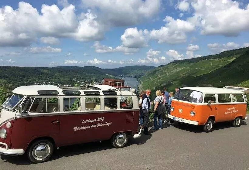 בית מלון כפרי Zeltingerhof  Gasthaus Des Rieslings