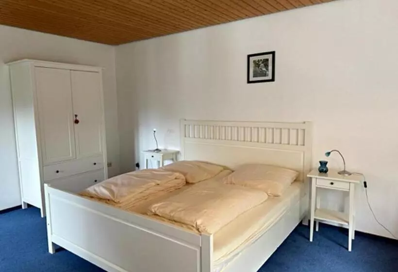 Отель Schwarzwaldblick