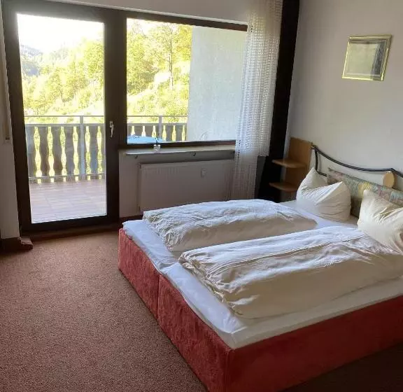 Отель Schwarzwaldblick