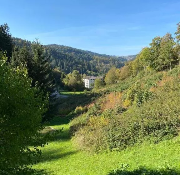 Отель Schwarzwaldblick