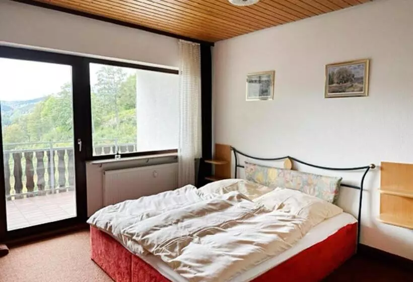 Отель Schwarzwaldblick