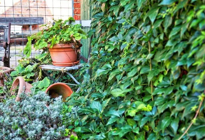 فندق Ferienwohnungen Manfred Peters Baven