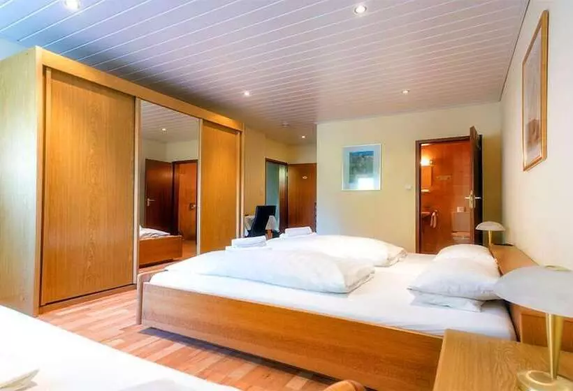 Отель Haus Schippke