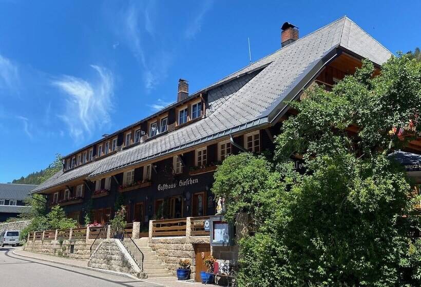 בית מלון כפרי Hirschen Menzenschwand