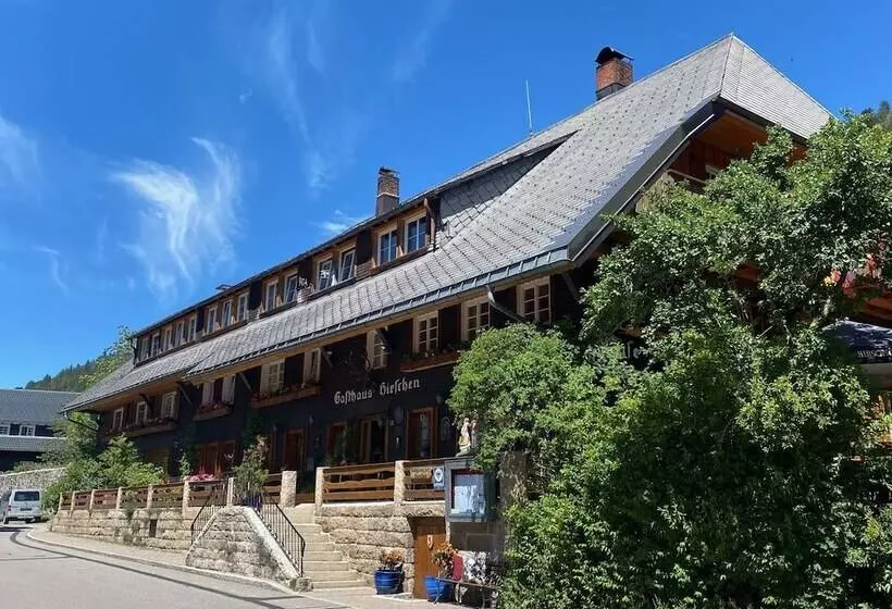 호텔 Hirschen Menzenschwand