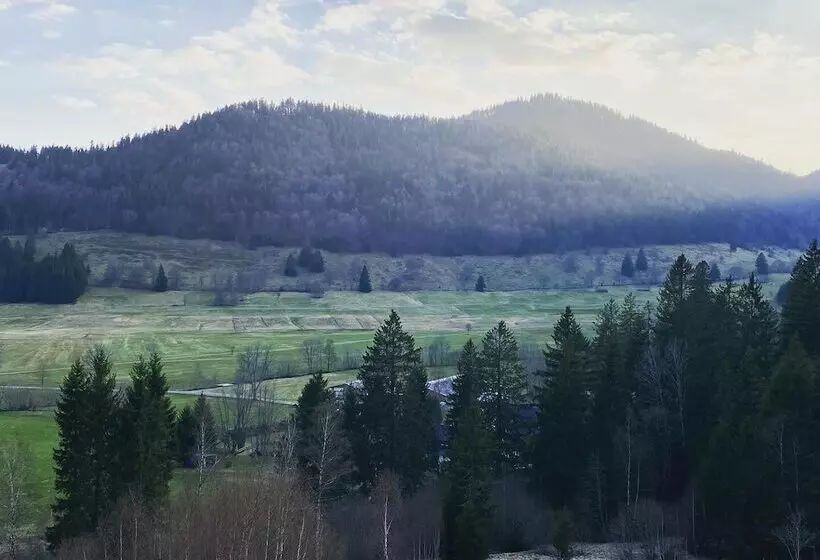 호텔 Hirschen Menzenschwand