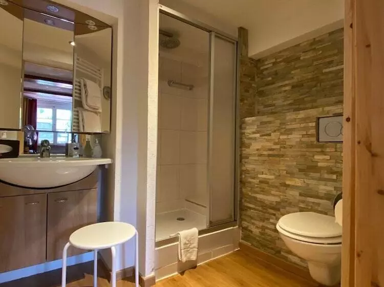 호텔 Hirschen Menzenschwand