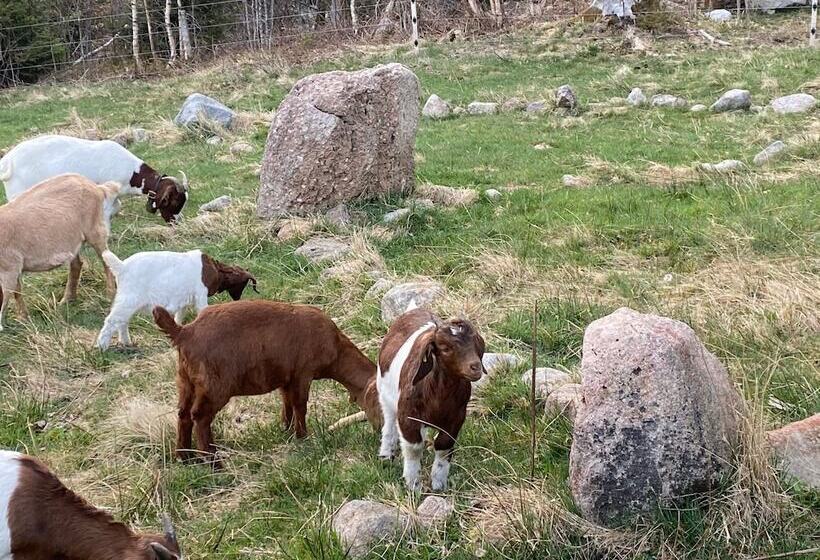 בית מלון כפרי Hirschen Menzenschwand