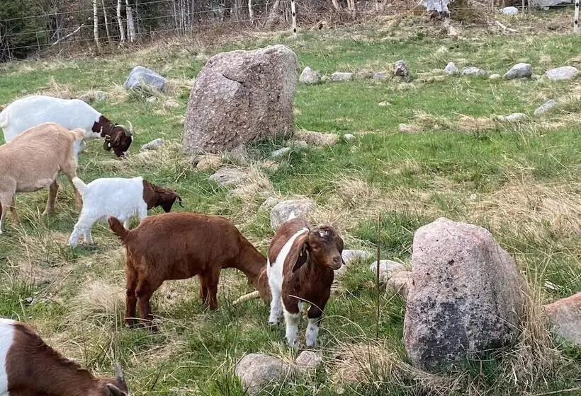 호텔 Hirschen Menzenschwand