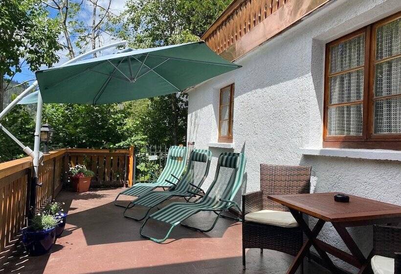 בית מלון כפרי Hirschen Menzenschwand