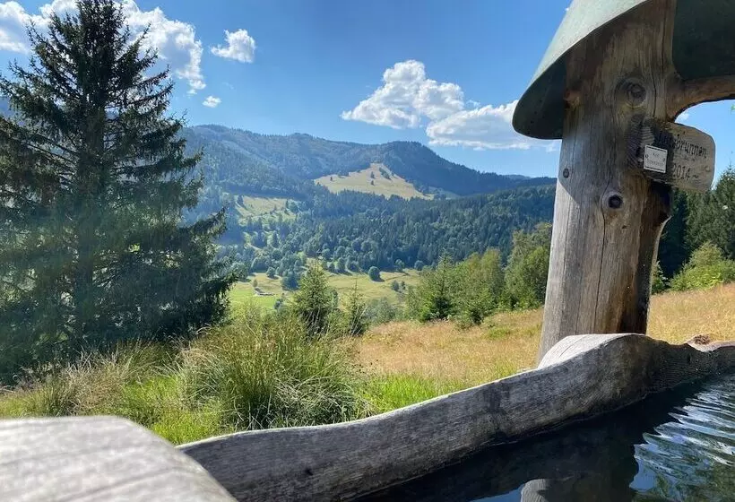 호텔 Hirschen Menzenschwand