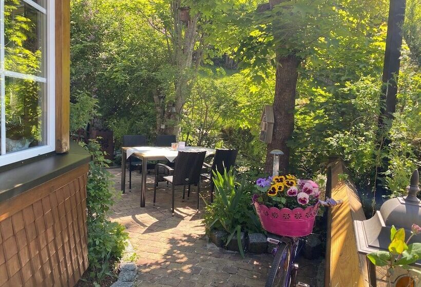 בית מלון כפרי Hirschen Menzenschwand