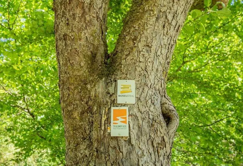 Landhotel Ringelsteiner Mühle