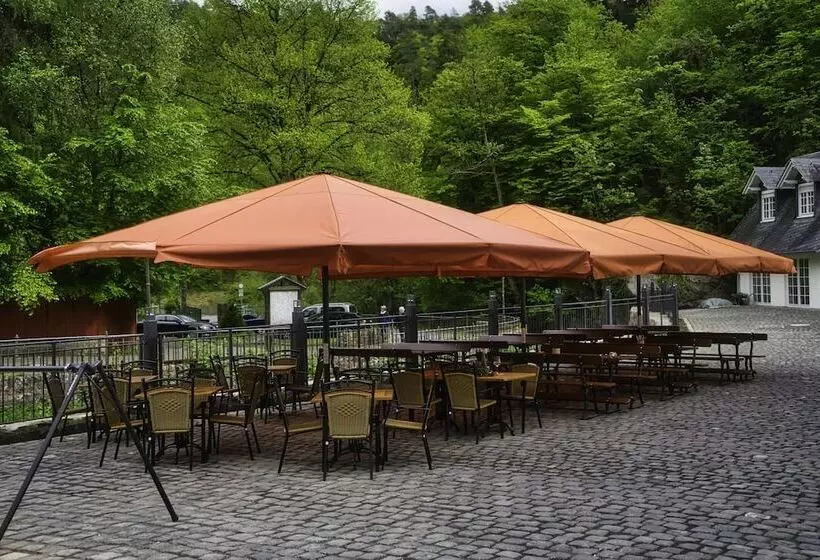 בית מלון כפרי Landgasthof Zur Burg Grenzau