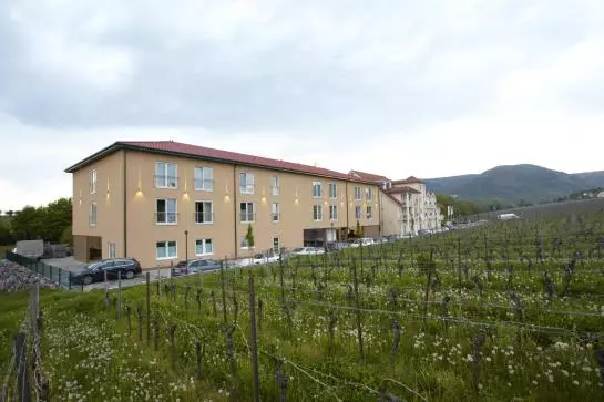 בית מלון כפרי Luitpold