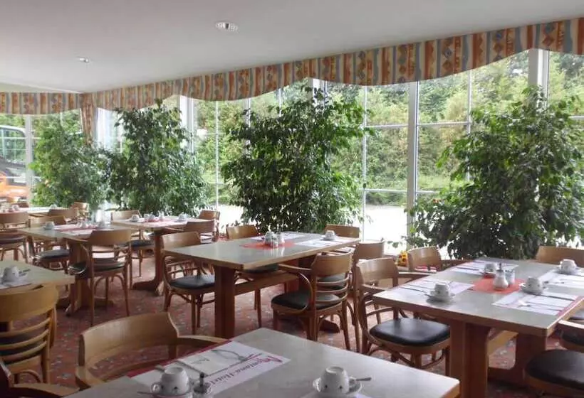 酒店 Montana Lauenau