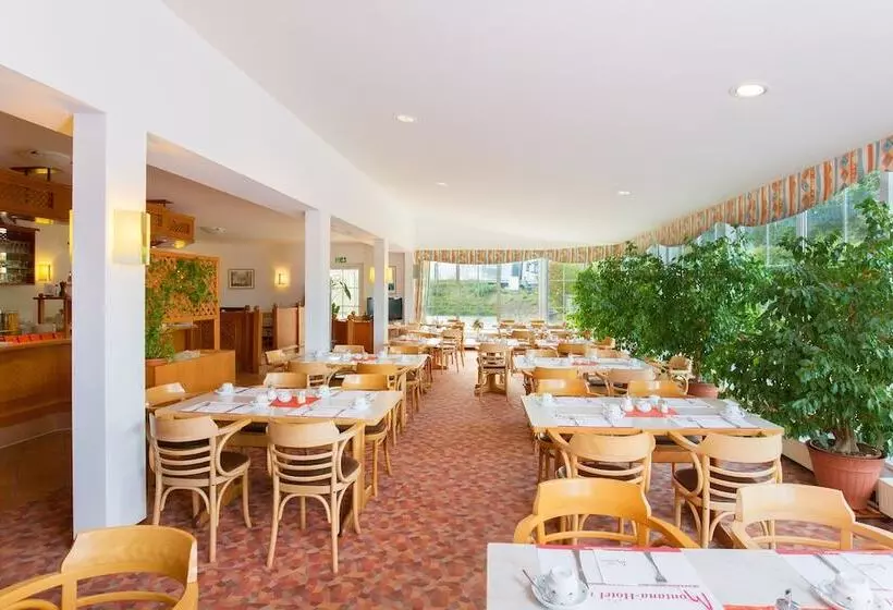 酒店 Montana Lauenau