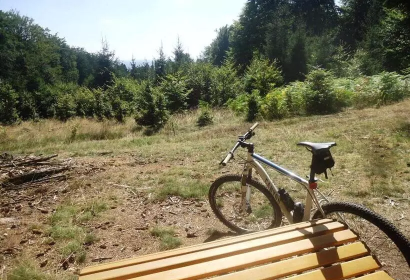 בית מלון כפרי Landgasthof Zur Post, Hochwälder Radstation