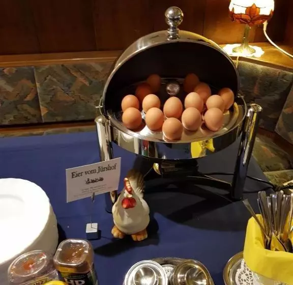 호텔 Scheffler Garni