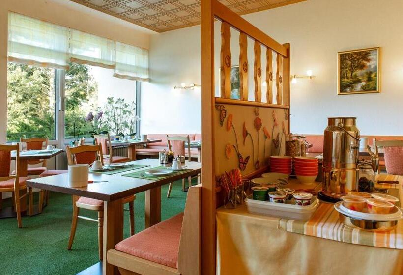 בית מלון כפרי Schleifmühle