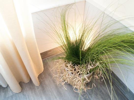 Отель Schlenker's Ochsen