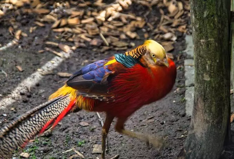 膳宿费 Berggasthof Butterberg