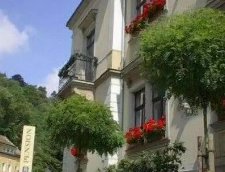 펜션 Gastehaus Loschwitz