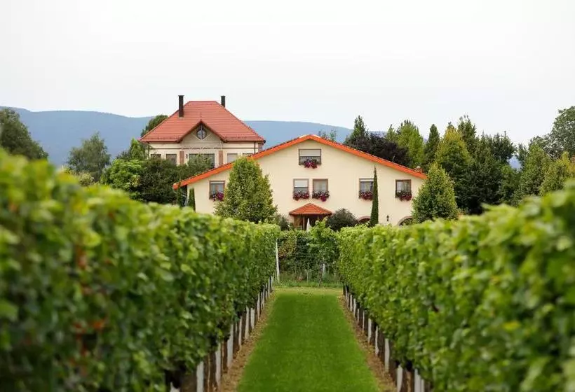 Villa Hochdörffer Gästehaus