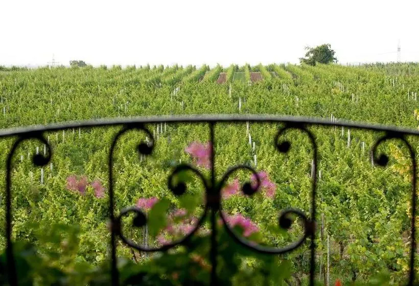 Villa Hochdörffer Gästehaus