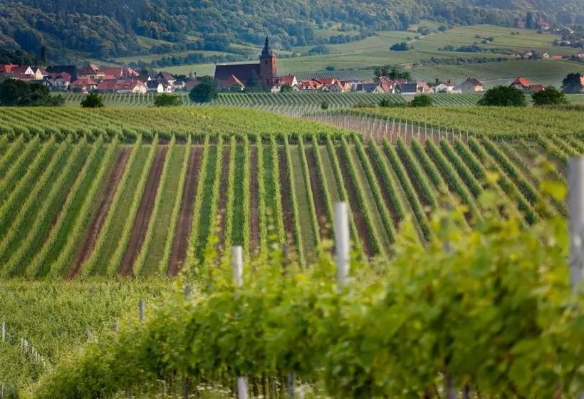 Villa Hochdörffer Gästehaus