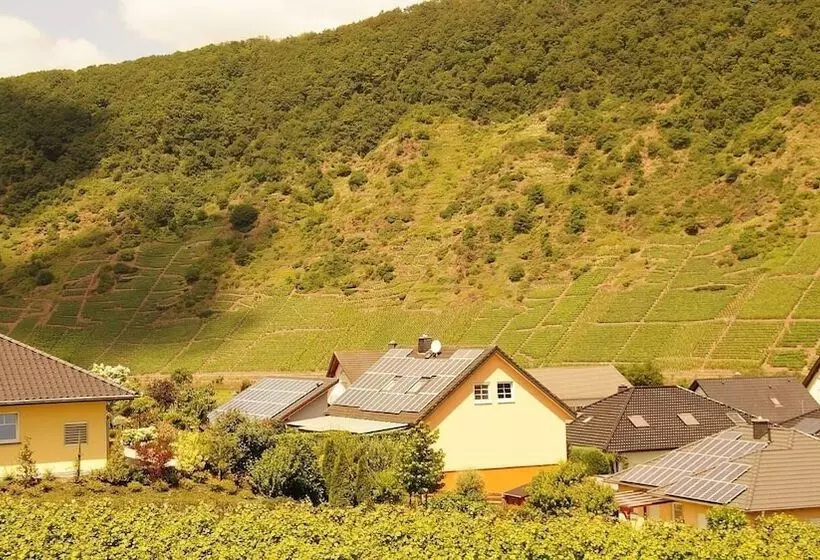Winzerhotel   Restaurant Zum Moselstrand