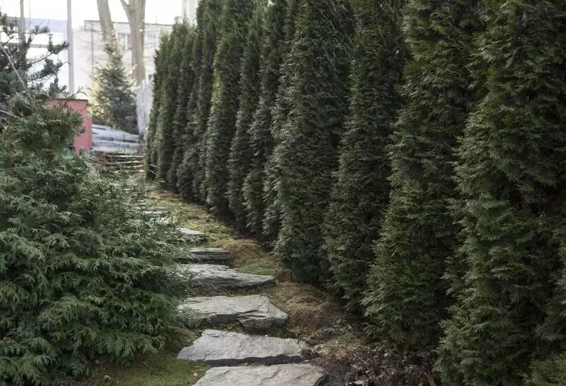 Art Residence Apartments