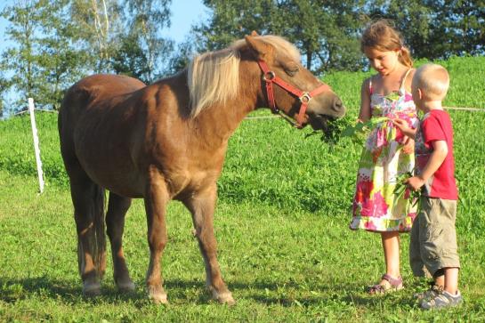 Bauernhof Loeschgruber