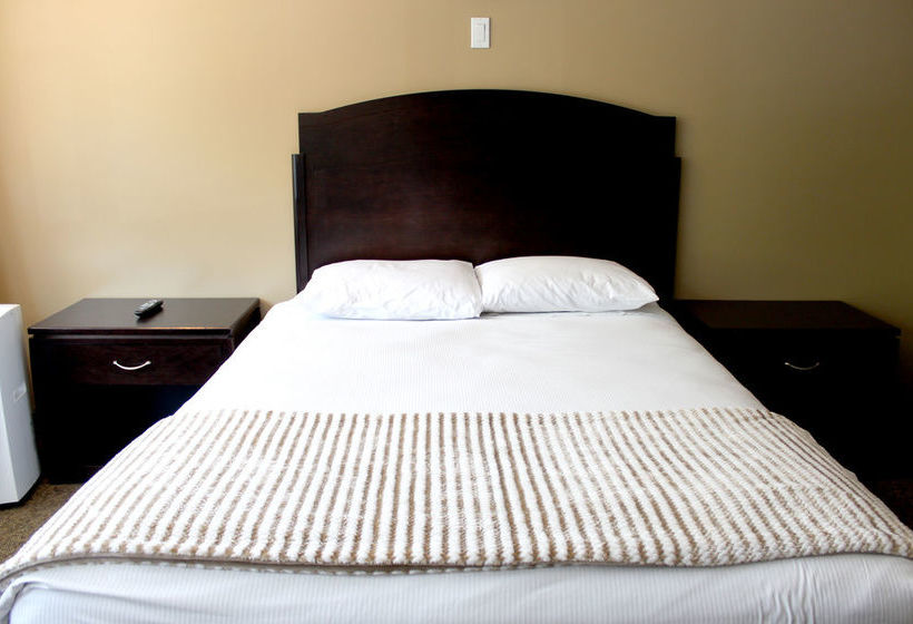 בית מלון כפרי Econo Lodge Inn & Suites City Centre