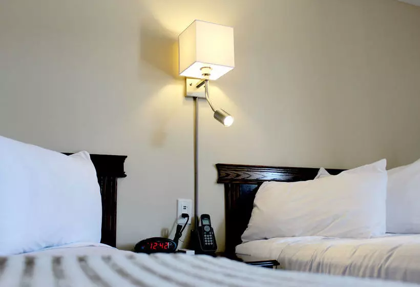 Szálloda Econo Lodge Inn & Suites City Centre