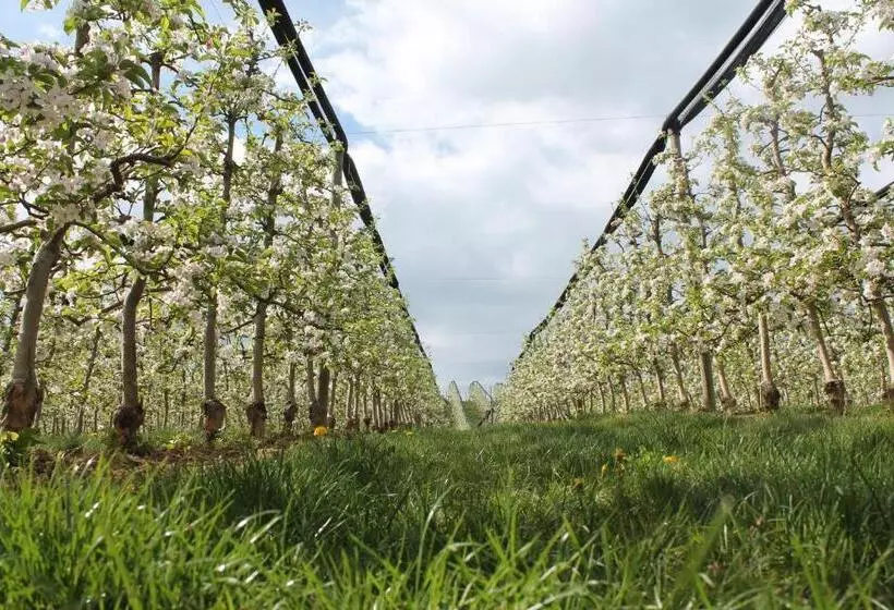 酒店 Obst & Gästehof Brandl