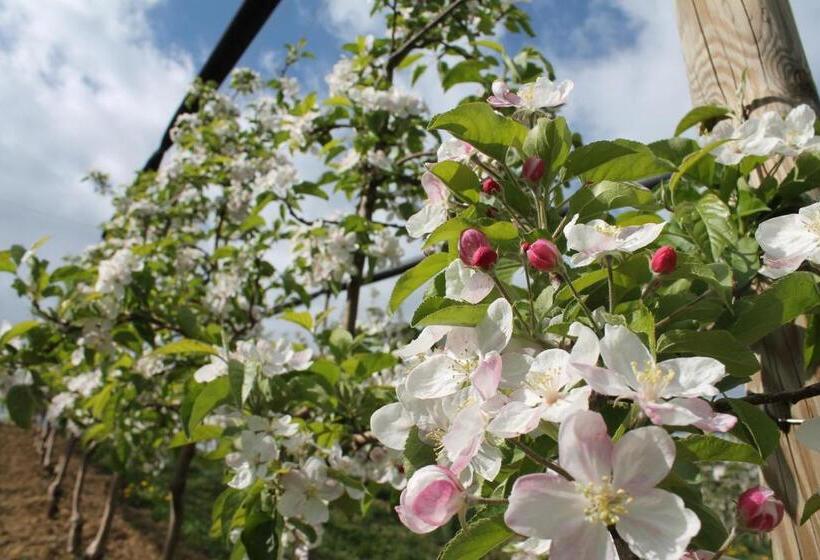 فندق Obst & Gästehof Brandl