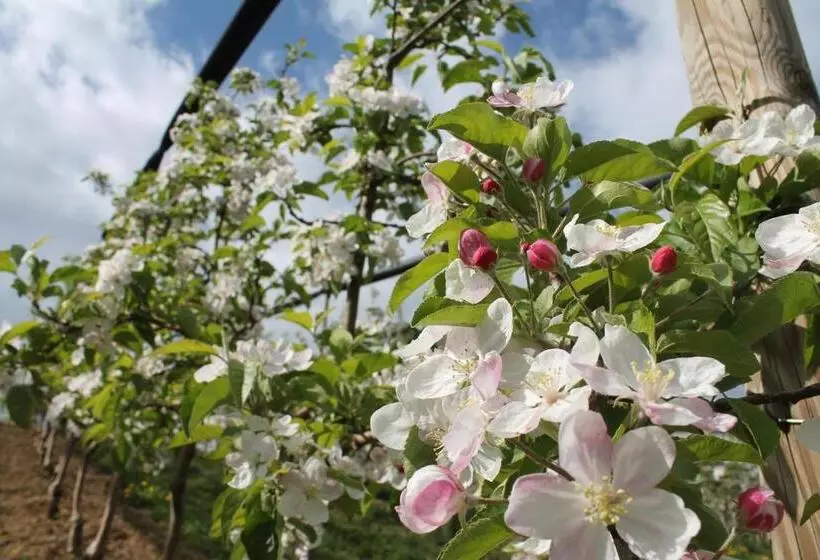 酒店 Obst & Gästehof Brandl