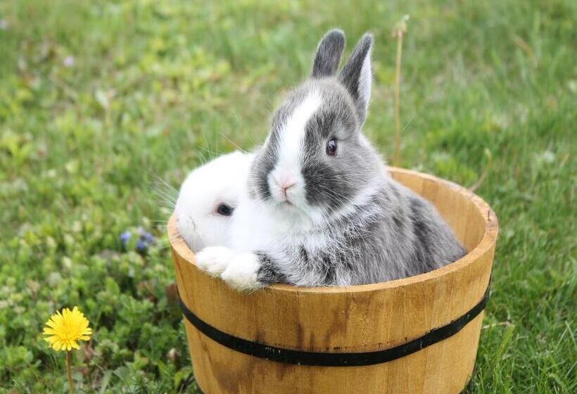 فندق Obst & Gästehof Brandl