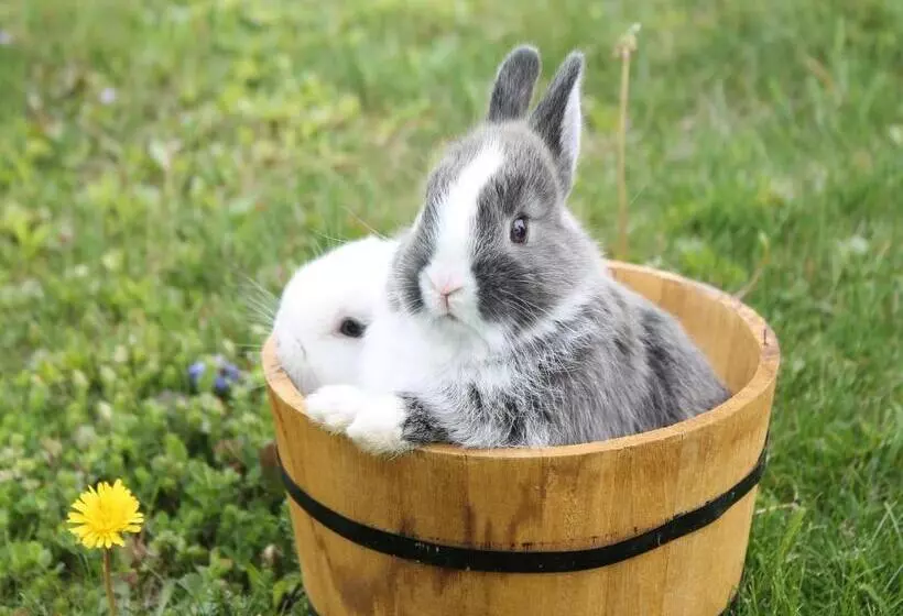 酒店 Obst & Gästehof Brandl